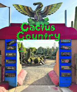 Travel – 24 Hours in Cactus Country