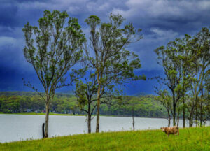 Higher than average totals nudged by storm deluge