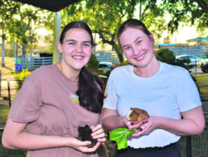 Wellbeing event focused on community cohesion