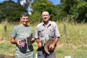 Native trees planted behind Roadvale School of Arts