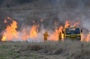 New bushfire recovery grants program to open mid-year