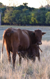 More youth, women joining ag workforce