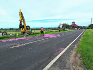 Harrisville residents unhappy as trees get the chop