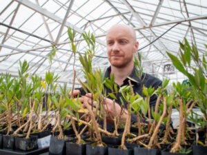 Spilling secrets, scoping out scopolamine