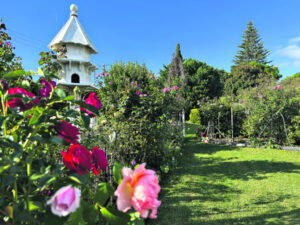 Tamborine Mountain blooms and shines