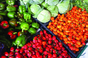 Project to develop trade expansion plans in 13 overseas markets