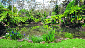 Botanic gardens rejuvenation project set to begin