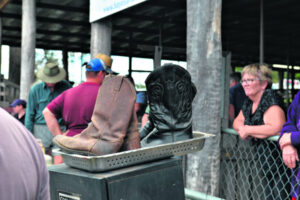 When will the Beaudesert saleyards finally get its day in court?