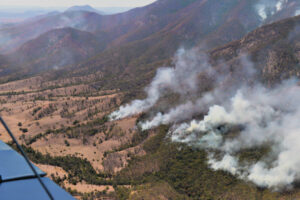 Lightning strike burns out 25,000 hectares