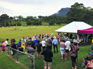 Another great day at the cricket – Maroon style