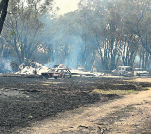 Rain a bushfire changemaker