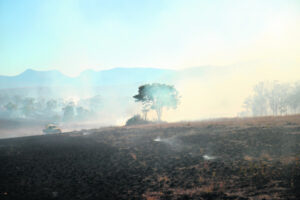 Scenic Rim communities urged to suggest projects for bushfire funding