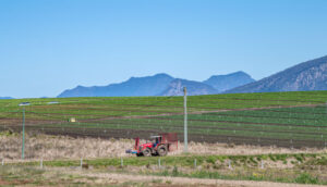Cropping at the fore of record breaking agricultural export earnings