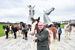 A Spectacular guest, Clydebuilt and the Kelpies