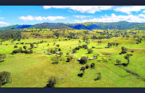 Echoes of the once extensive Scenic Rim broadacre grazing properties
