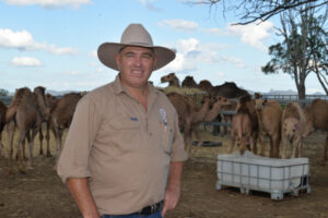 2021 could mark milestone camel dairy’s co-op mission