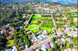 Council reveals vineyard and winery cost $6.2M