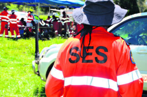 Scenic Rim bush rescues continue to surge post-Covid