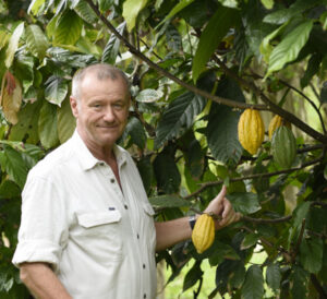 Chocolate business from tree to bean to bar