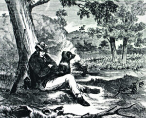 The Beauty of Life – Australian Shepherd