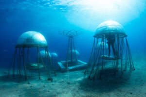 ‘Agrinauts’ tend to underwater crops