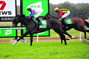 Change of plan no problem for Tarrant