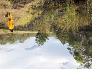 Fire ban extended as Kooroomba fire contained