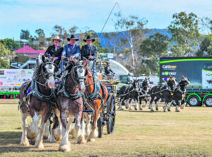 Silver goes to the Spectacular