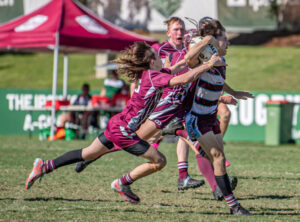 Spirited young Bombers developing more success