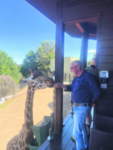 24 hours ‘on safari’ by Kaye Martin