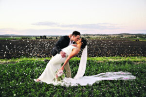 Million dollar memories