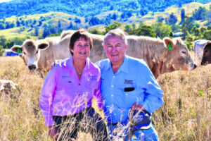 Polled genetics success for Bunjurgen graziers’ Charbray stud