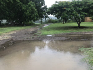 Rain steady and soaking