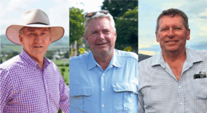 Mayoral preferences distribution underway