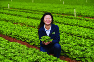 Digital twins: bridging the gap between lab and farm