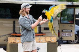 Wildlife experience in the palm of your hand