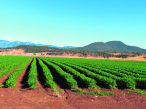 $68M Federal funding to target systems to prove product origin