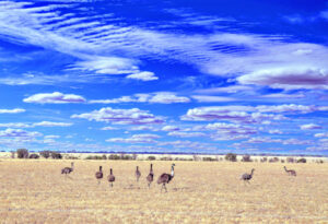 A photographer’s trip through the outback: Part 2