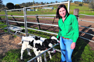 Dairy code under review as milk processors fall afoul of new rules