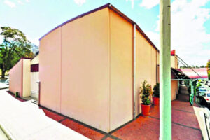 Splash of art for Cultural Centre wall