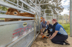 Boost to funding as school scores agricultural pathways project