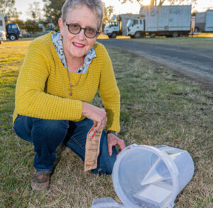 Toad tadpole trap will kill ‘billions’