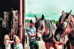 Hoof over land, draught horses pull past into present