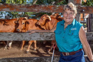 Non-stop work in the cattle game keeps Lyn fighting fit