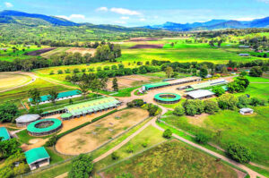 Washpool homestead’s links to an early pastoral dynasty