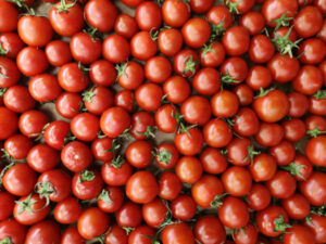 Harvest ‘realignments’ as seasonal workers dry up