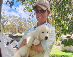 Wild dog and guardian animals, first forum success