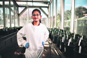 Trends in the diversity of opportunity in ag studies