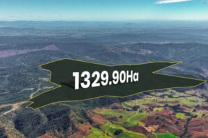 Large bush block with more than its share of potential