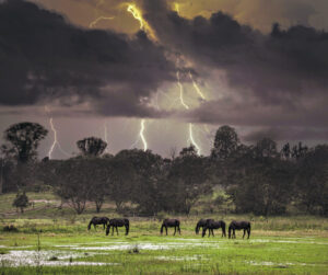 The 2022 tallies are in, 2022 was one of the wettest